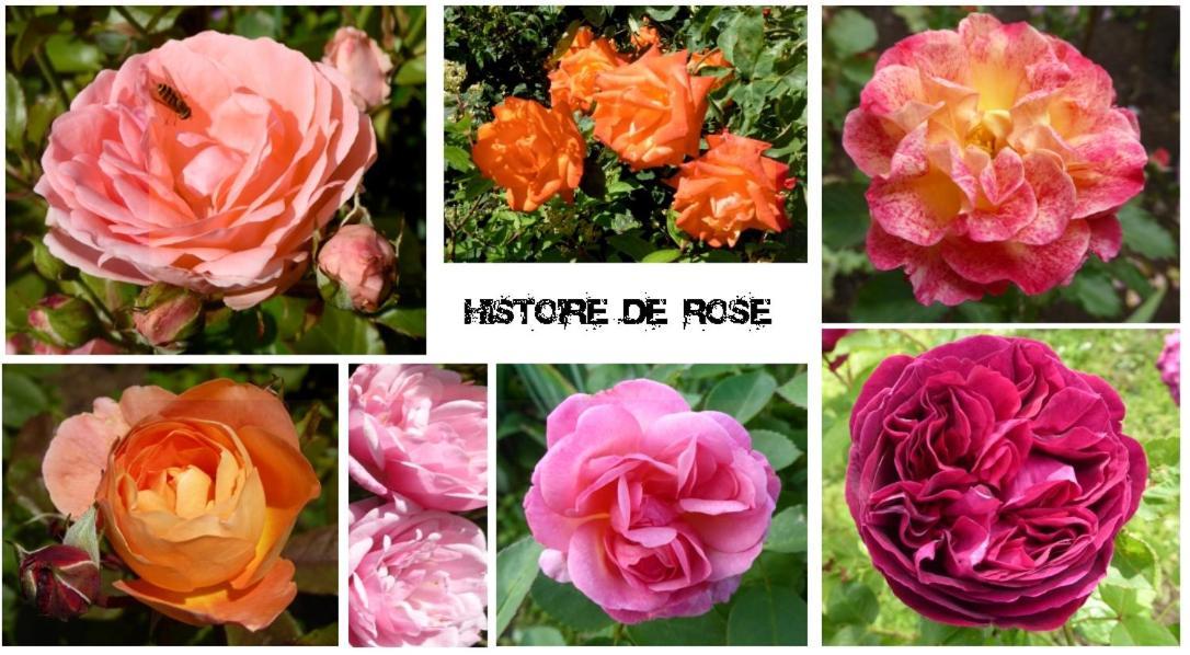 Essey Au Rendez Vous De L'Auxois B&B מראה חיצוני תמונה